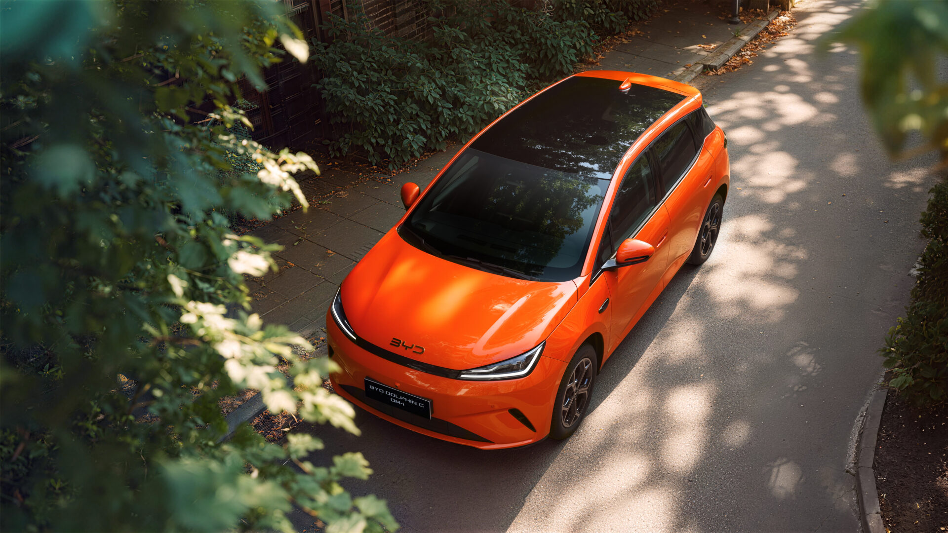 BYD Dolphin G DM-i - miejski hatchback, który nie boi się długich tras